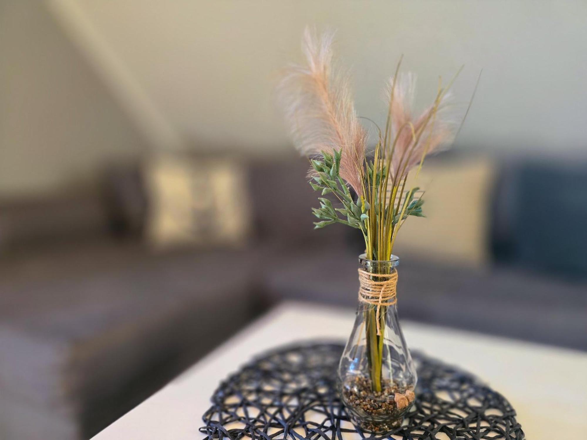 Feriendorf Rugana - Komfortplus Appartement Mit 1 Schlafzimmer C32 드란스케 외부 사진